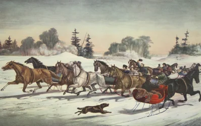 Courses de Trot sur la Neige